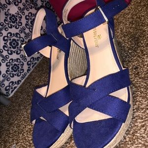 Blue wedges